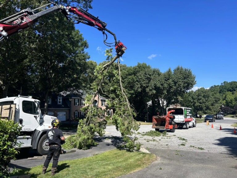 A worker in safety gear monitors as a crane lifts a large tree branch toward a wood chipper on a suburban street, with safety cones and trucks nearby under a clear blue sky.